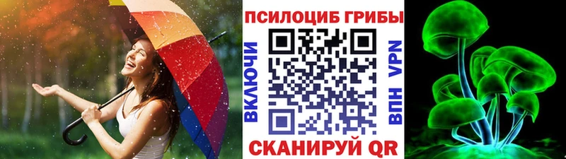 Купить  Назарово  Галлюциногенные грибы Magic Shrooms 